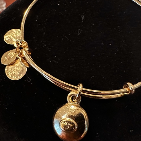 Alex and Ani deep pink (October) birthstone bracelet - Picture 2 of 2